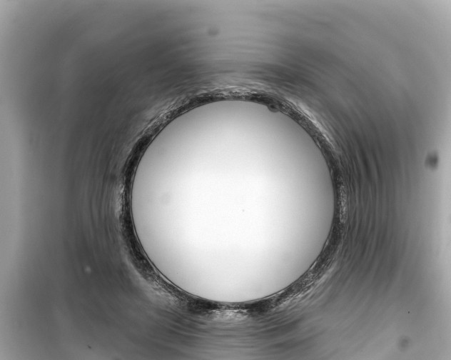 X0000099560451200805160754