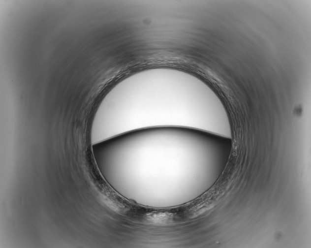 X0000099560452200805160754