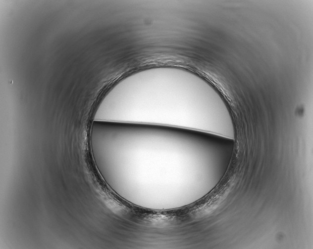 X0000099560453200805160754