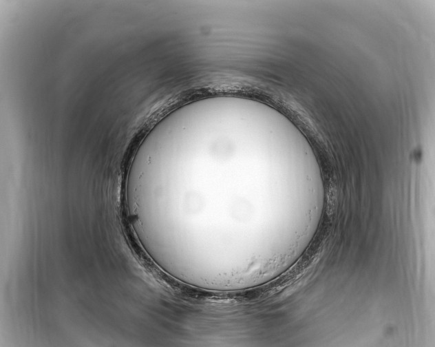 X0000099560454200805160754