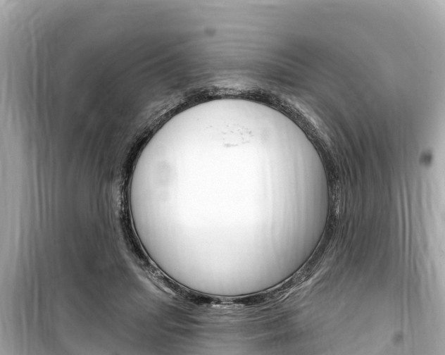 X0000099560455200805160754
