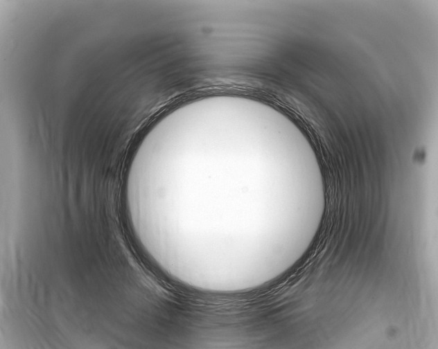 X0000099560456200805160754