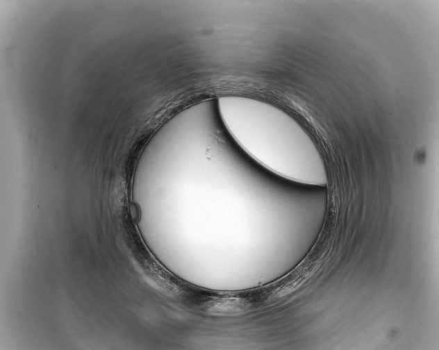 X0000099560459200805160754