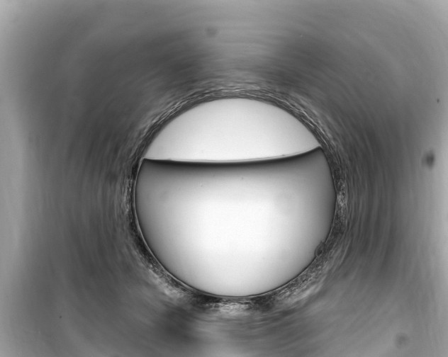 X0000099560462200805160754