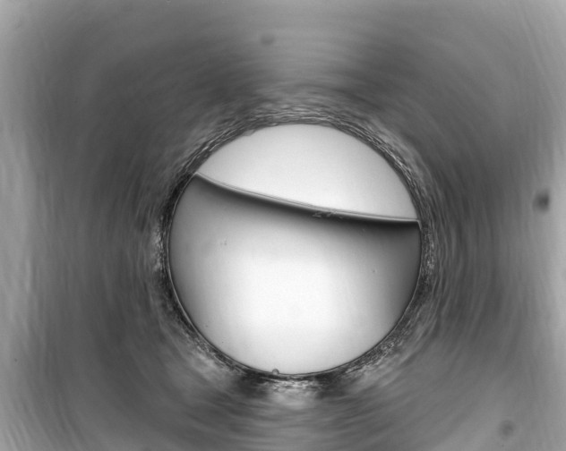 X0000099560465200805160754