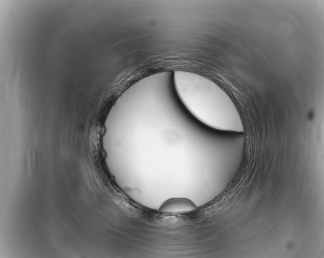 X0000099560475200805160754