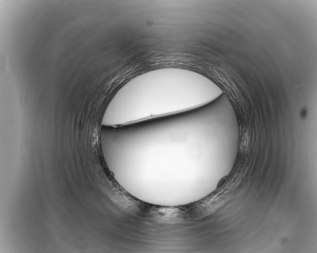 X0000099560478200805160755