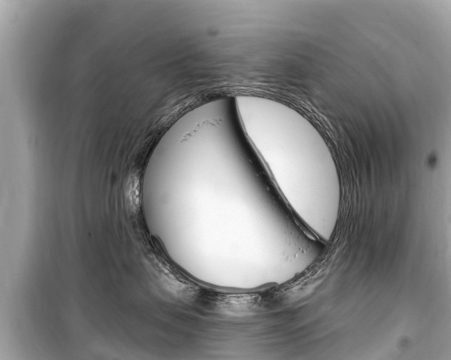 X0000099560479200805160755