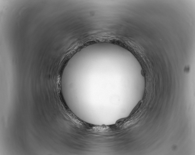 X0000099560480200805160755