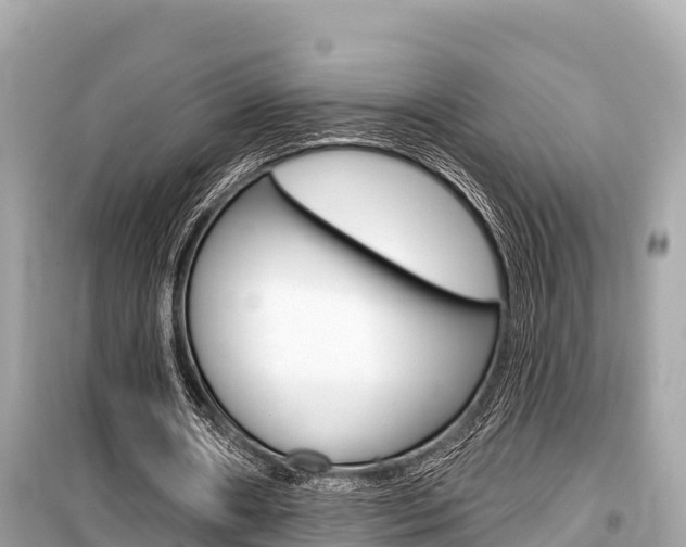 X0000099560482200805160754