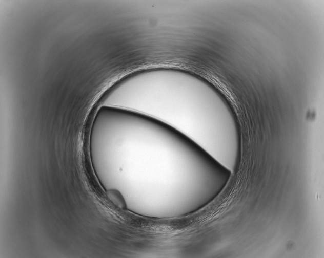 X0000099560483200805160754