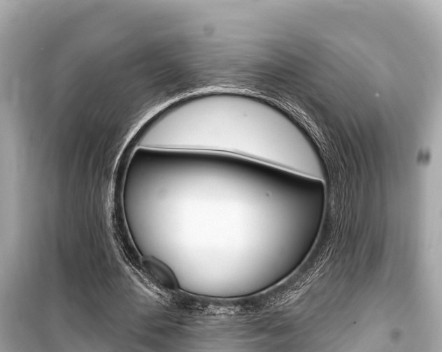 X0000099560484200805160754