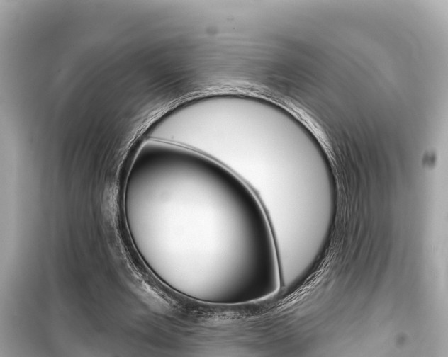 X0000099560485200805160754