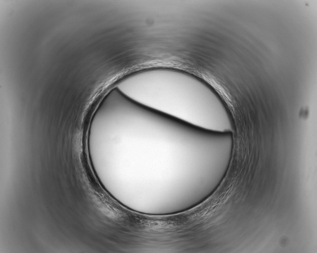 X0000099560486200805160754