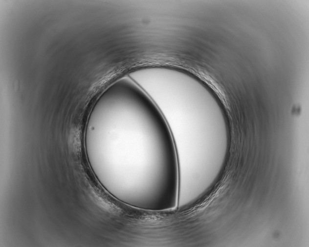 X0000099560489200805160754