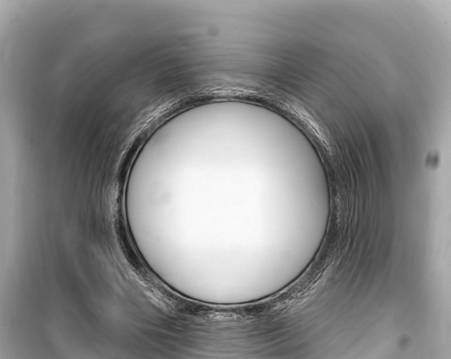 X0000099560490200805160754
