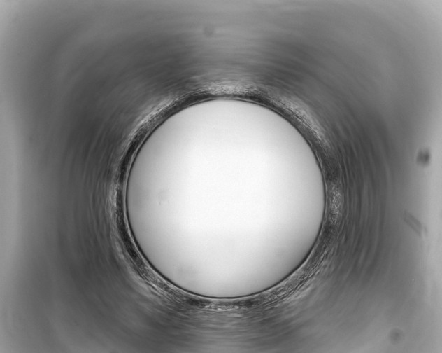 X0000099560491200805160754