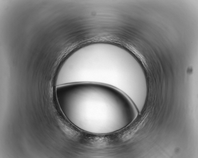 X0000099560493200805160754