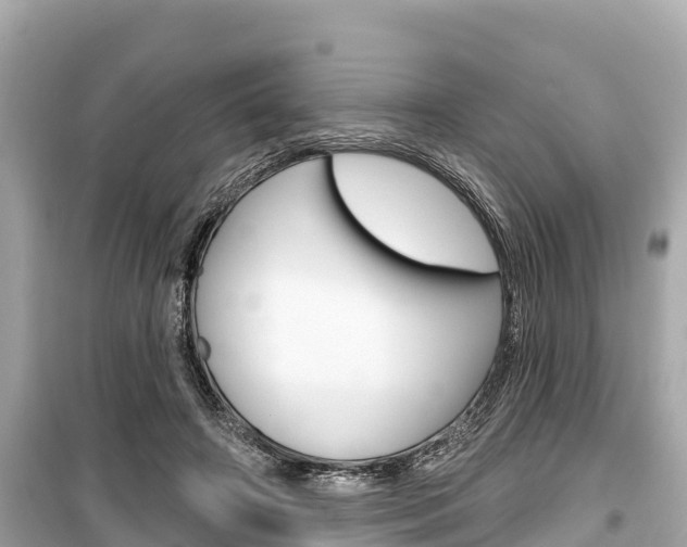 X0000099560498200805160754