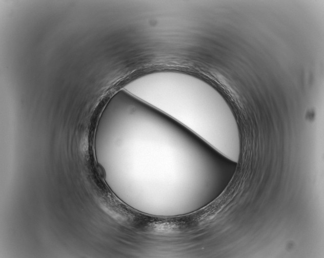 X0000099560500200805160754