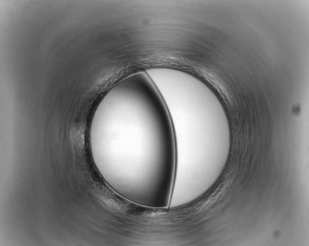 X0000099560501200805160754