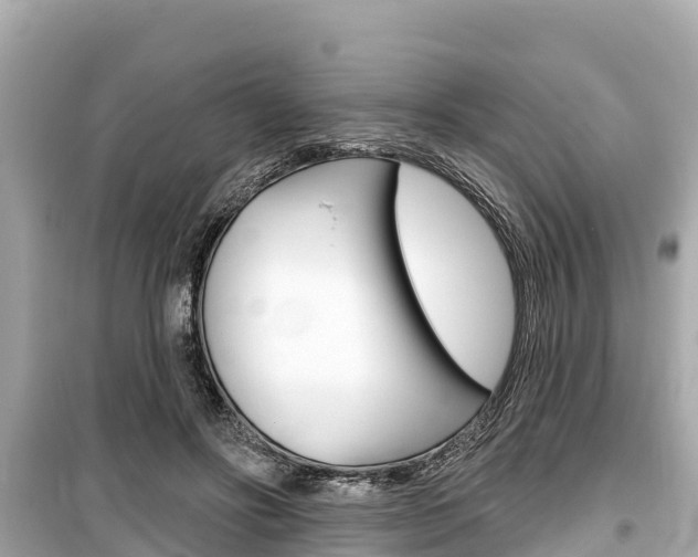 X0000099560502200805160754