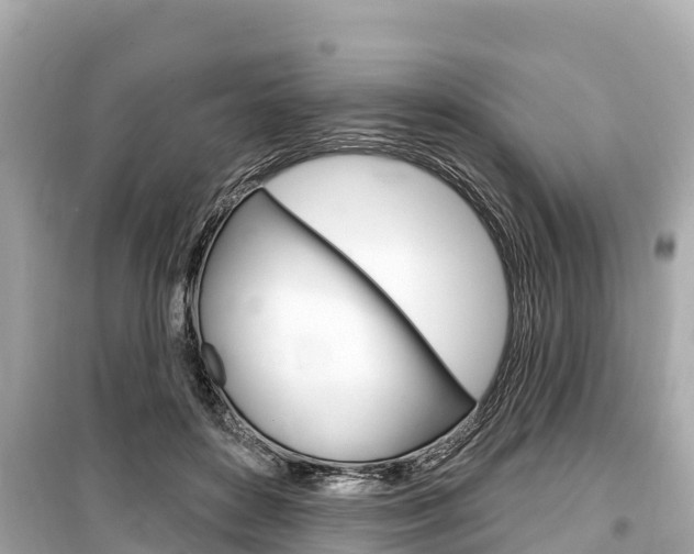 X0000099560504200805160754