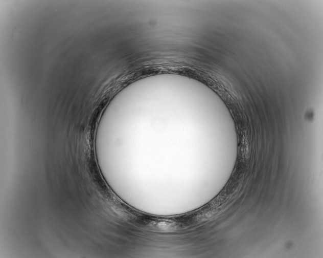 X0000099560506200805160754