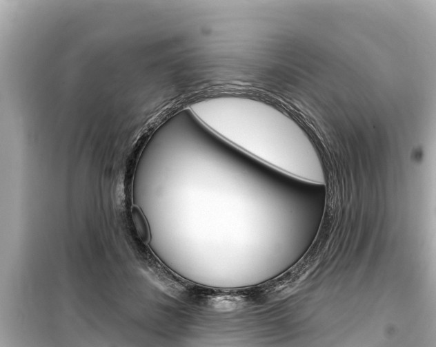 X0000099560508200805160754