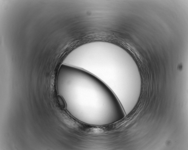 X0000099560509200805160753