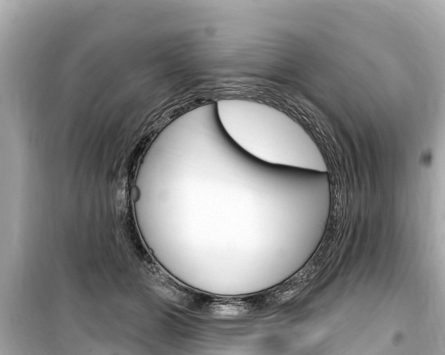 X0000099560510200805160753