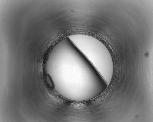 X0000099560512200805160753