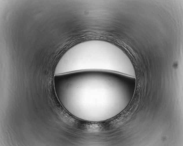 X0000099560513200805160753