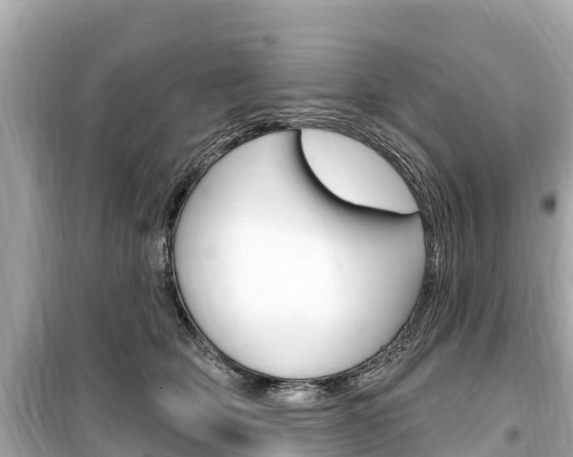 X0000099560514200805160753