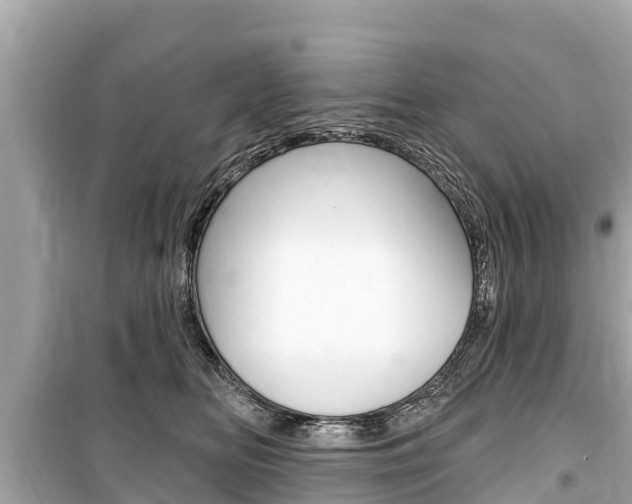 X0000099560518200805160753