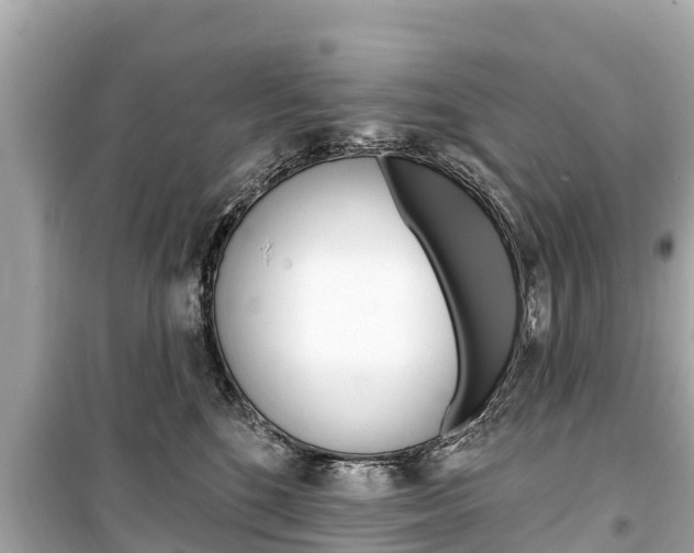 X0000099560520200805160753