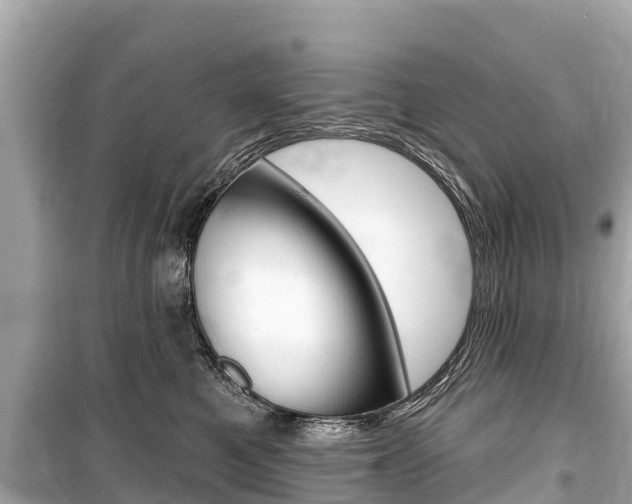 X0000099560521200805160753