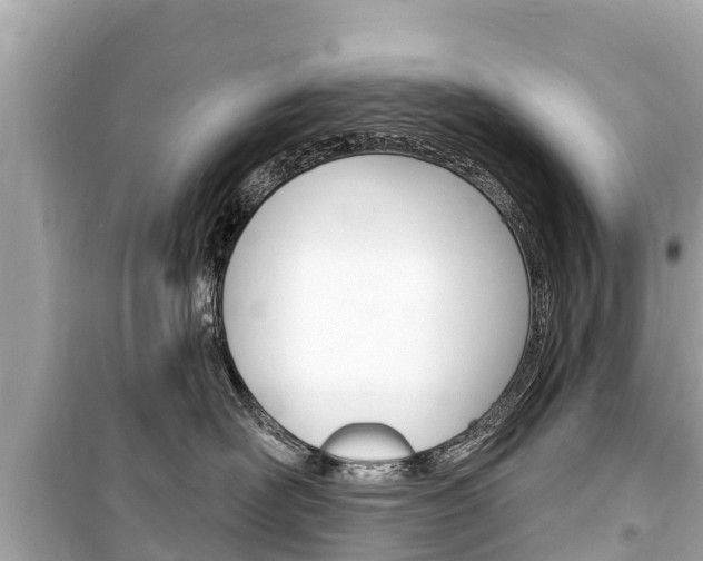 X0000099560526200805160753