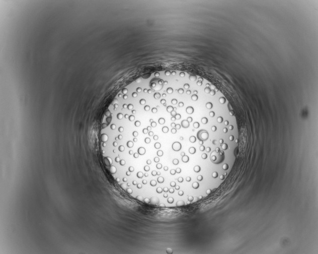 X0000099560527200805160753