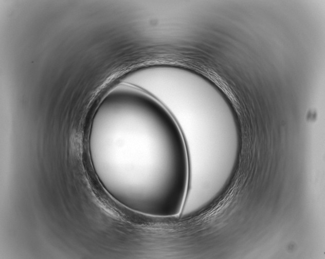 X0000099560530200805160752
