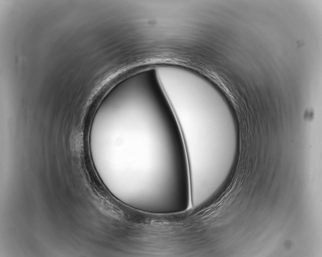 X0000099560531200805160752