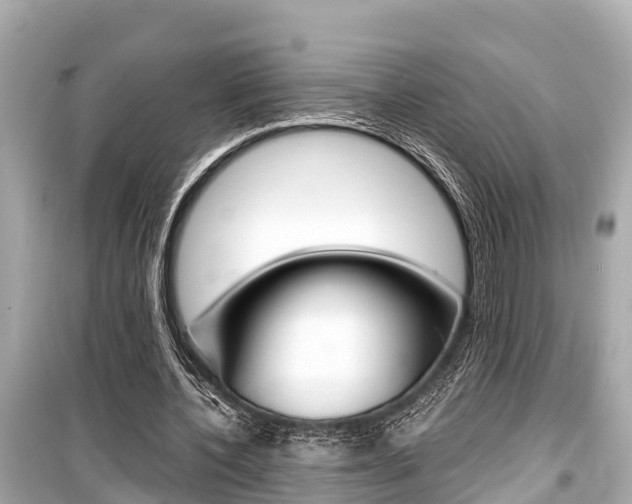 X0000099560532200805160752
