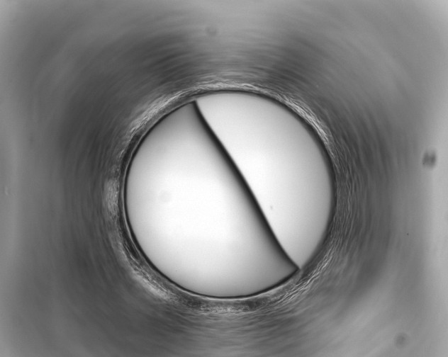 X0000099560533200805160752