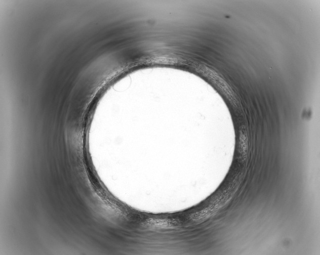 X0000099560534200805160752