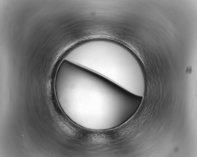 X0000099560535200805160752