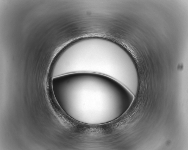X0000099560536200805160753