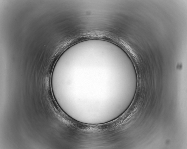 X0000099560537200805160753
