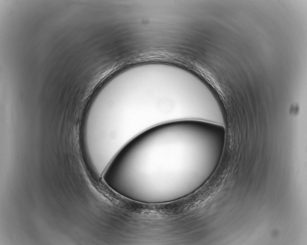 X0000099560538200805160753