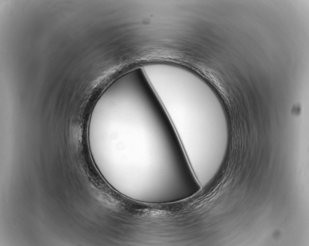 X0000099560539200805160753