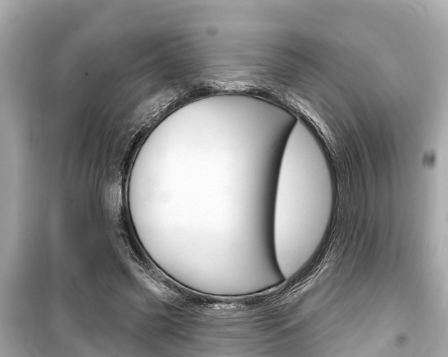 X0000099560541200805160753